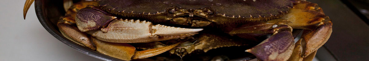 Image of delicious crab